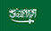 https://sa.czguanchuang.com